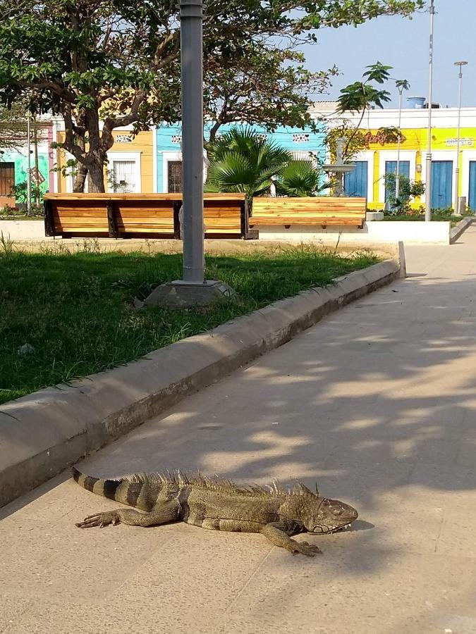 El Habitante Casa Cultural & Hostal Cienaga Екстер'єр фото